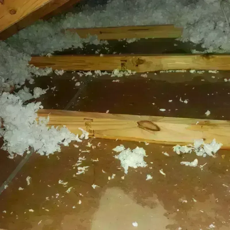 Attic Water Damage in Farley, IA