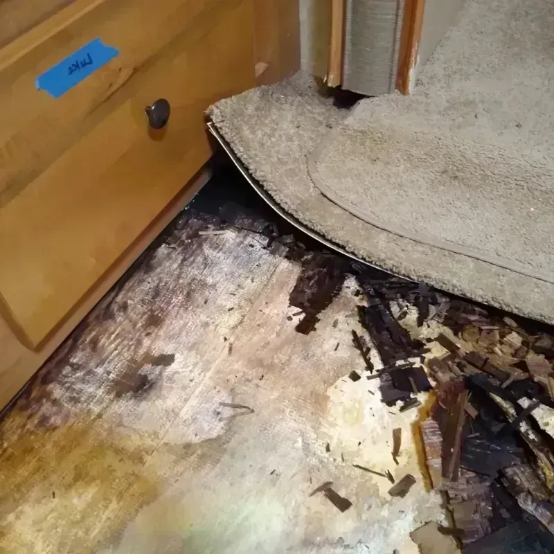 Best Wood Floor Water Damage Service in Farley, IA